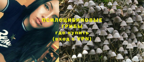 экстази Гусиноозёрск