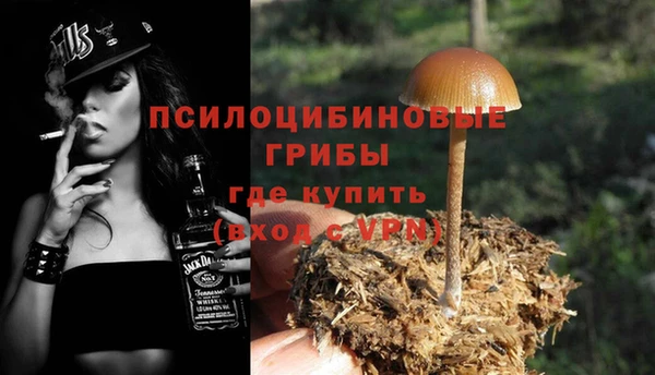 гидра Дмитриев