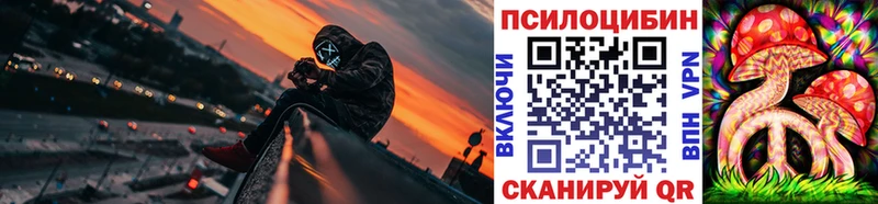 Купить закладки  Камешково  Галлюциногенные грибы Psilocybine cubensis 
