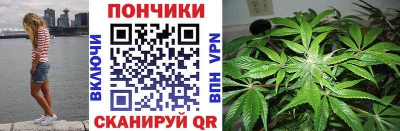 Купить закладки  Камешково  Шишки марихуана White Widow 